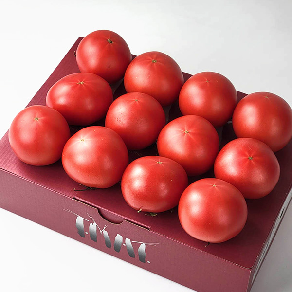熊本県産JA熊本うき くまもと塩トマト 夢ロマン【お届け期間:3月1日〜3月25日】【イオンゴールドカード会員さま限定特別セール2月】 商品画像3