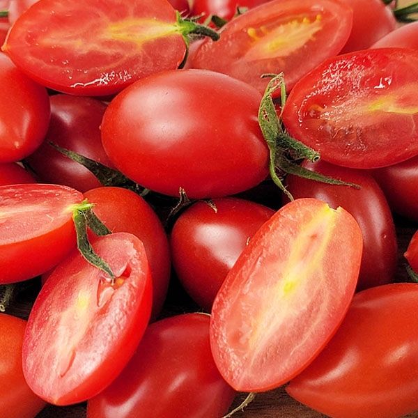 熊本県産 アイコトマト【お届け期間:3月1日〜3月25日】【イオンゴールドカード会員さま限定特別セール2月】 商品画像3