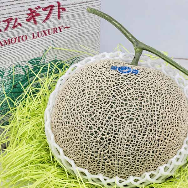 熊本県産 アールスメロン 1玉【お届け期間:3月1日〜3月25日】【イオンゴールドカード会員さま限定特別セール2月】 商品画像3
