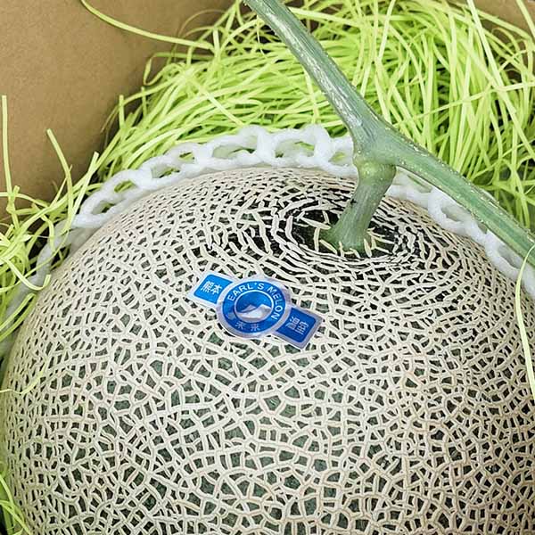 熊本県産 アールスメロン 2玉【お届け期間:3月1日〜3月25日】【イオンゴールドカード会員さま限定特別セール2月】 商品画像3