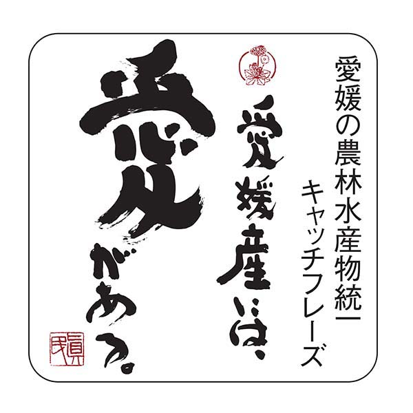 愛媛県産(JAえひめ中央中島選果場)せとか 3kg 2L・3L(12玉・10玉)【お届け期間：3月1日〜3月15日】【イオンゴールドカード会員さま限定特別セール2月】　商品画像3
