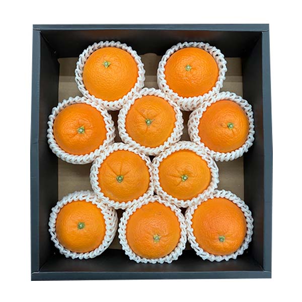 愛媛県産(JAえひめ中央中島選果場)デリッシュネーブル 2.5kg 2L〜4L(10玉ー6玉)【お届け期間：3月1日〜3月15日】【イオンゴールドカード会員さま限定特別セール2月】　商品画像3