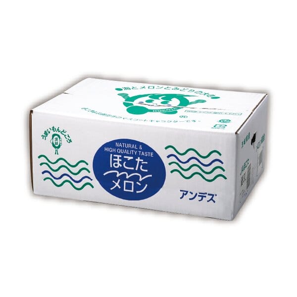 茨城県 JAほこた アンデスメロン 3Lサイズ3玉入【お届け期間:5月11日〜6月30日】【KN】　商品画像2