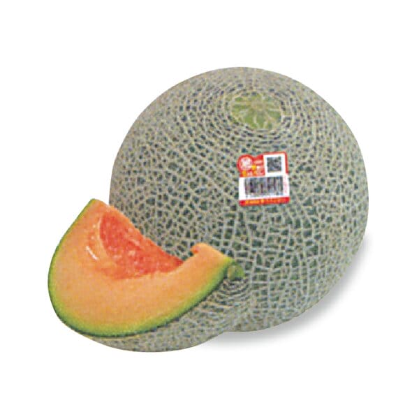 茨城県 JA茨城旭村 大玉メロン2種ミックス 5Lサイズ2玉入り(アンデス1玉、クインシー1玉)【お届け期間:5月15日〜6月30日】【KN】　商品画像2