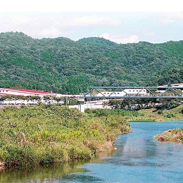 兵庫県 ヤマサ蒲鉾 しらさぎ揚げ15枚 しらさぎ揚げプレーン9枚、えび3枚、あなご3枚【NN】　商品画像3