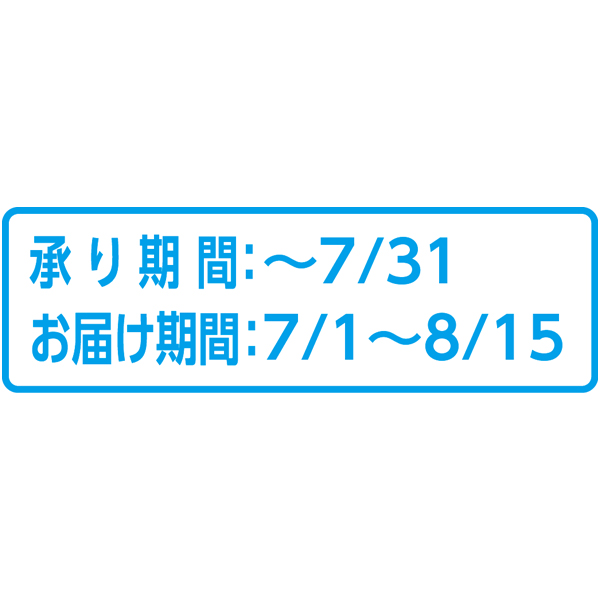 椎名洋ラン園 胡蝶蘭「エレガンスホワイト」2F(SUSTEE付)(お届け期間：7/1〜8/15)【夏の贈りもの・お中元】　商品画像3
