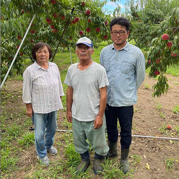 福島県産 もも 16代目小野庄兵衛さんのあかつき桃 3kg【お届け期間：8月1日〜8月15日】【イオンゴールドカード会員さま限定特別セール5月】　商品画像3