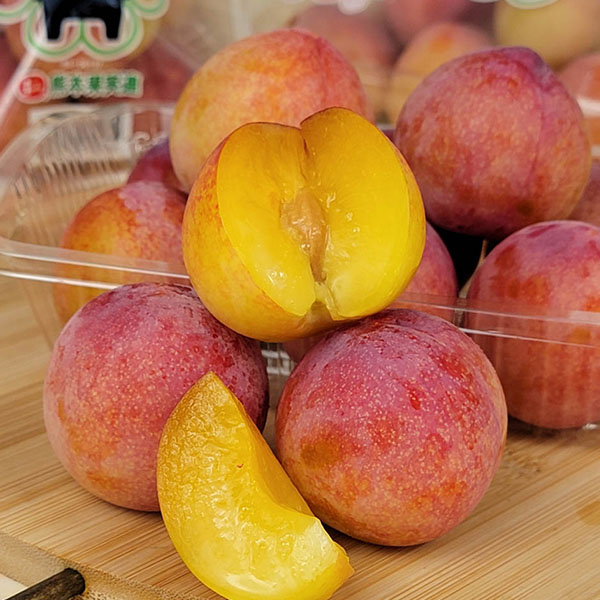 熊本県産すもも ハニーローザ 4パック【限定30点】【お届け期間：5月25日〜6月30日】【イオンゴールドカード会員さま限定特別セール5月】　商品画像3