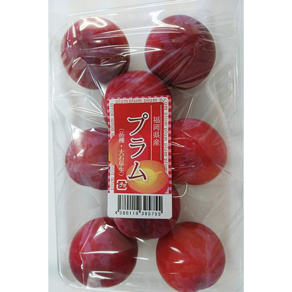 福岡県産(JAみなみ筑後・JAかすや・JAむなかた) 紅大石早生プラム 300g×4パック【お届け期間：6月13日〜6月21日】【イオンゴールドカード会員さま限定特別セール5月】　商品画像3
