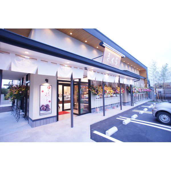 茨城県お菓子のきくち茨城メロン100％アイスキャンデー10本入「お届け期間」2025/7/1〜2025/9/10【KN】　商品画像3