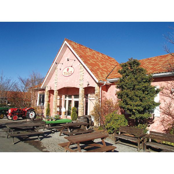 栃木県 いちごの里ファーム王様いちごのゼリー12個【お届け期間】2025年10月26日-2026年1月10日【冬の贈りもの・お歳暮】【KN】 商品画像3