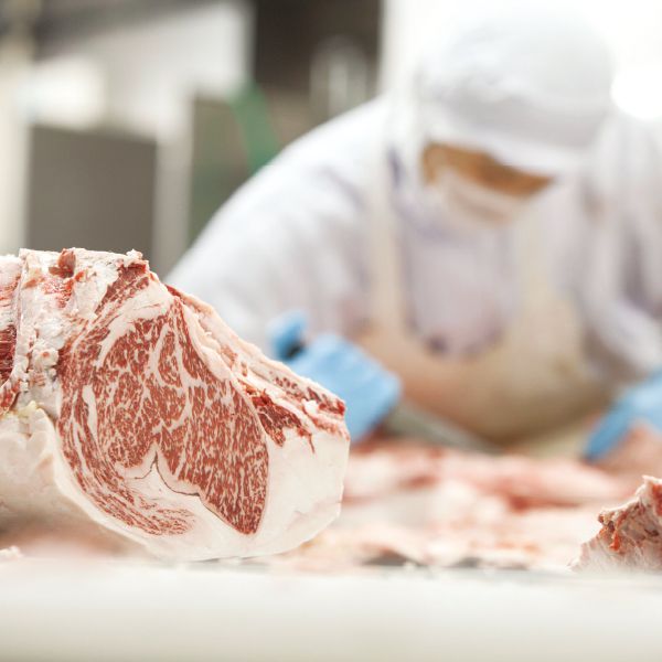 群馬県赤城牛のとりやま赤城牛ともち豚の粗挽き焼き上げハンバーグ4個入「お届け期間」2025/7/1〜2025/9/10【KN】　商品画像3