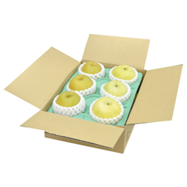 鳥取県産 新甘泉・二十世紀梨セット【限定100点】【お届け期間:8月25日〜9月10日】【イオンゴールドカード会員さま限定特別セール7月】 商品画像1