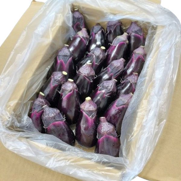 愛知県産 JAあいち中央 みずなすLサイズまたは2Lサイズ 3kg箱(20〜24個入)【超！ナツ夏祭り】【CB】　商品画像2