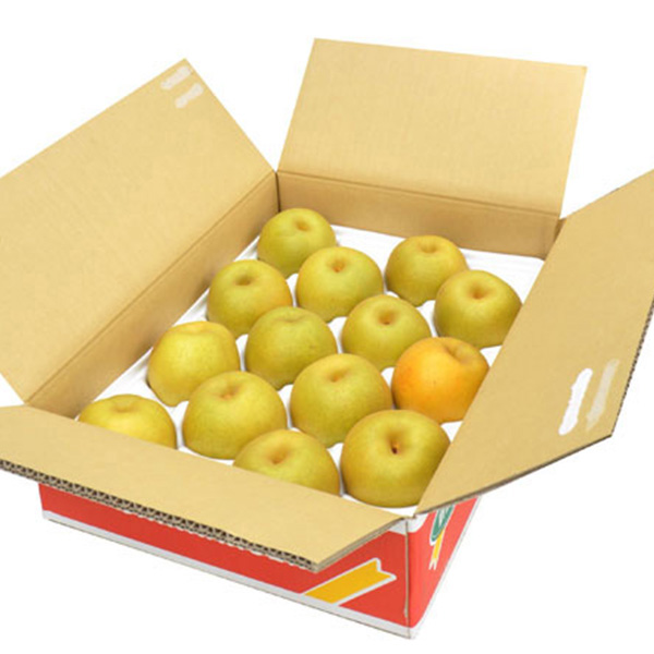 鳥取県産 梨 新甘泉 4.5kg【敬老の日】　商品画像3