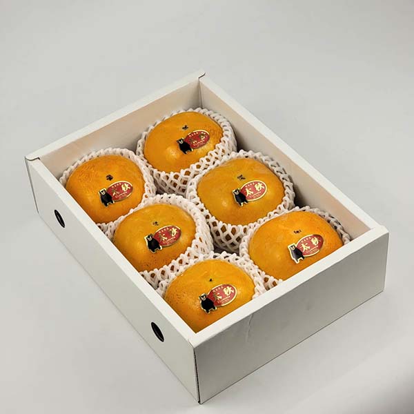 柿香合　　珍味入れ10客　　新品未使用　　　秋の器 柿香合珍味入れ 10客 新品未使用 秋の器 柿香合 珍味入れ