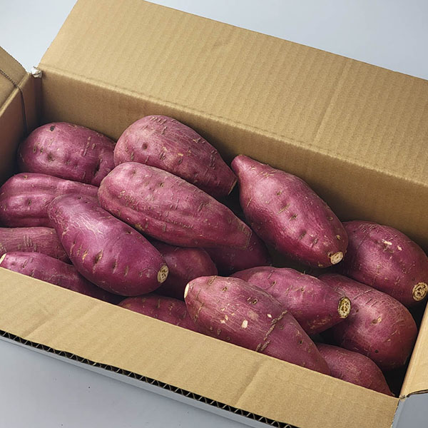 宮崎県産 さつまいも 宮崎紅【お届け期間：9月20日〜1月31日】【おいしいお取り寄せ】　商品画像3