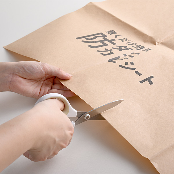 アーネスト 敷くだけ簡単 防ダニ防カビシート6畳用 3枚入り(R8196)【雑貨】 商品画像3