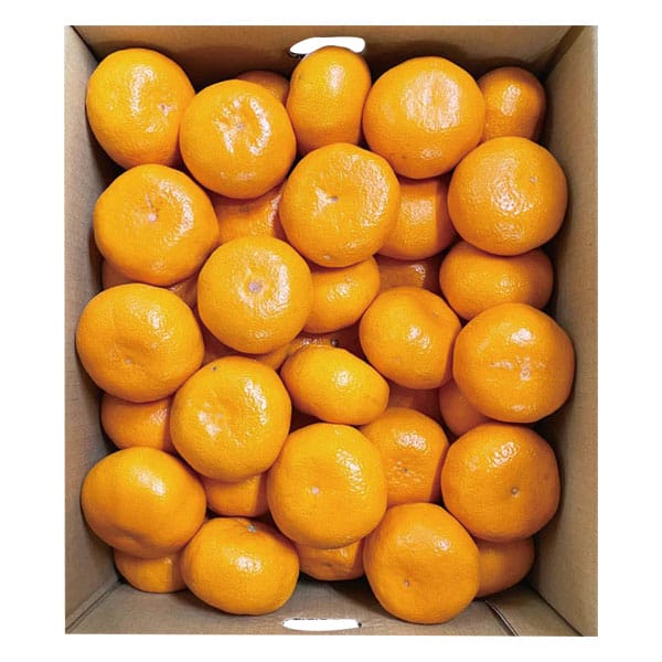 和歌山県産 田村みかん Lサイズ5kg(赤秀)【お届け期間:11月25日〜12月25日】【旬鮮便】【NN】　商品画像2