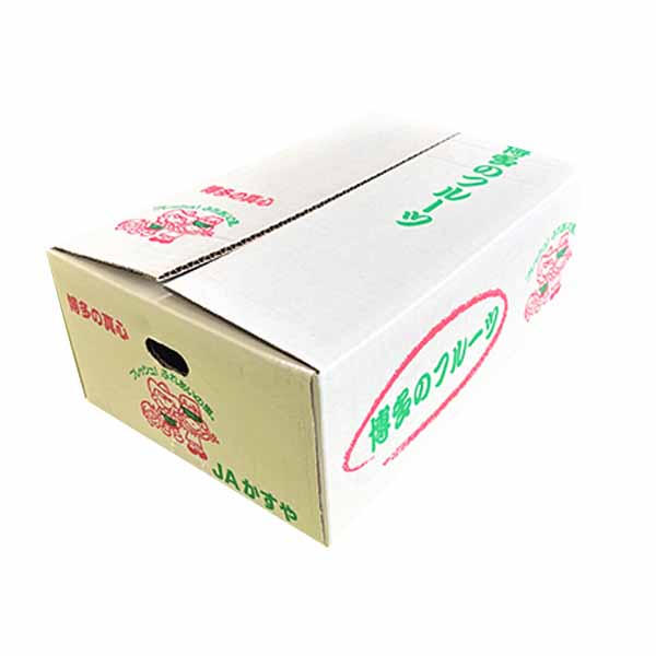 福岡県産(JA粕屋) デコポン 3.0kg【お届け期間：2月20日〜3月8日】【お買い得セール2月】　商品画像3