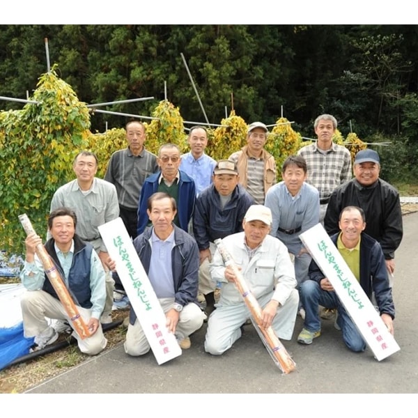 静岡県産(JA静岡市) ほんやま自然薯 Lサイズ3本入り化粧箱【ブラックフライデー】【CB】　商品画像3