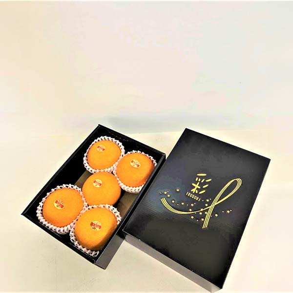 愛媛県産(JAえひめ中央中島選果場) 紅まどんな 1.2kg 青秀L〜2Lサイズ【限定50点】【お届け期間:12月8日〜12月25日】【おいしいお取り寄せ】 商品画像3