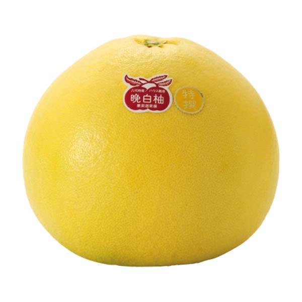 熊本県産 晩白柚・晩白柚饅頭セット【限定500点】【お届け期間:1月13日〜2月15日】【フードアルチザン】 商品画像3