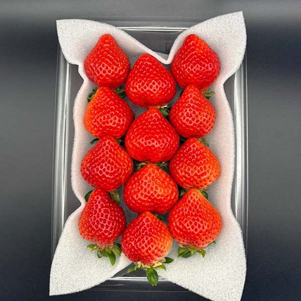 福岡県産 博多あまおう 平パック(DX) 2パック 桜箱【九州フェア】【おいしいお取り寄せ】　商品画像3