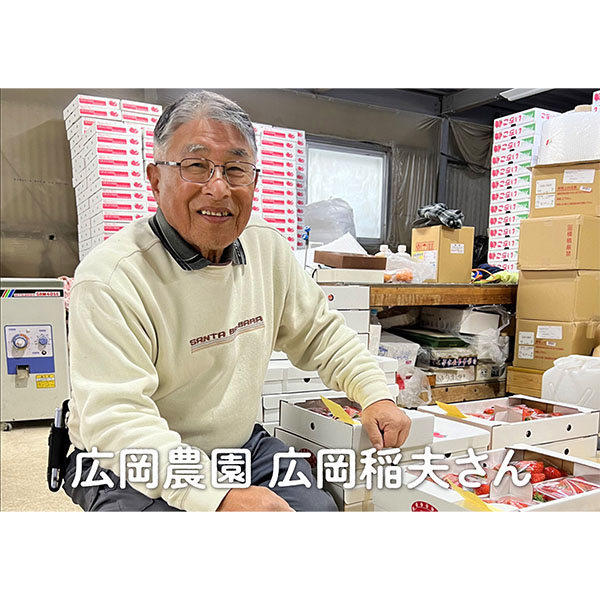 岡山県岡山市産 広岡農園の大粒いちご(ゆめのか)平パック 270g(12-15粒)2パックセット【お届け期間:2月15日〜4月30日】【NN】　商品画像3