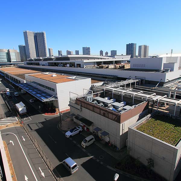 豊洲市場発 旬のフルーツ盛り合わせ かご盛り(中)【おいしいお取り寄せ】　商品画像2