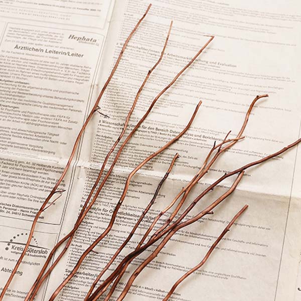 ライフオンプロダクツ VINTAGE Collectionリードディフューザー シトラスバーベナ [MRU-51-CV]【雑貨】　商品画像3