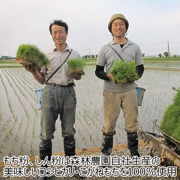 新潟 新潟 森林農園笹団子 こしあん 20個【KN】　商品画像3