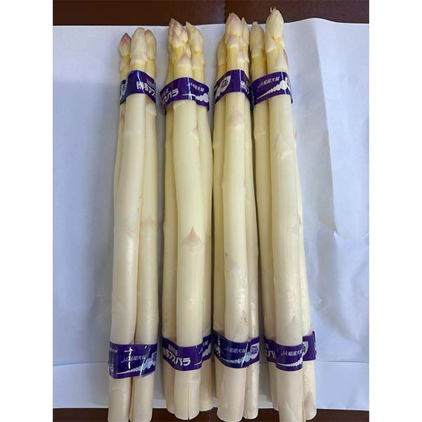 福岡県産 太芽アスパラガス 3色セット 計900g【お届け期間：3月20日〜4月30日】【超！春トク祭り】　商品画像3