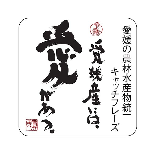 愛媛県八幡浜市産 ニューサマーオレンジ 秀品 2.5kg S〜2Lサイズ【限定500点】【お届け期間：4月1日〜4月30日】【超！春トク祭り】　商品画像3