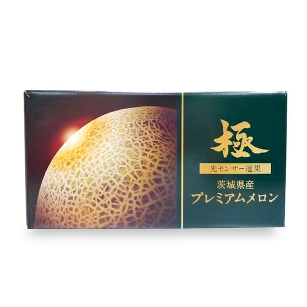 茨城県 JA茨城旭村 プレミアムエルソルメロン 3Lサイズ2玉入り【限定100点】【お届け期間:6月1日〜6月30日】【KN】　商品画像2