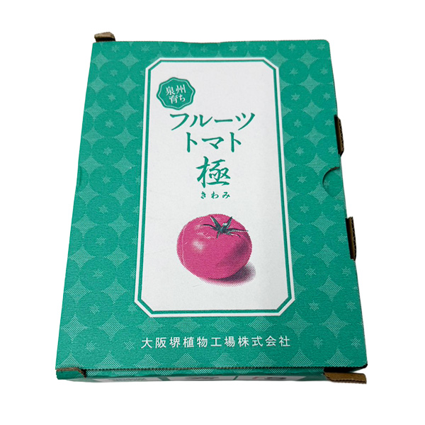 大阪府産 フルーツトマト極 800g以上【お届け期間:4月20日〜6月20日】【NN】 商品画像3