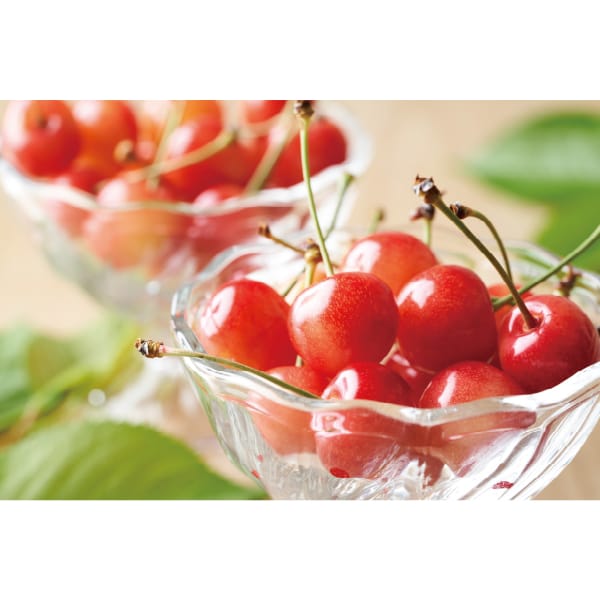 山形県産 ハウス栽培 さくらんぼ(佐藤錦)(秀品 300g)【お届け期間:5月15日〜6月5日】【MK】　商品画像3