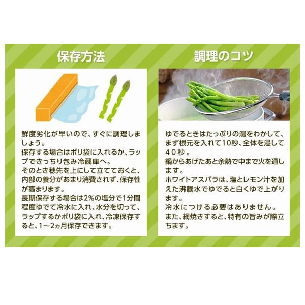 北海道産 JA道北なよろ グリーンアスパラ 1.8kg(Mサイズ)【CB】 商品画像3