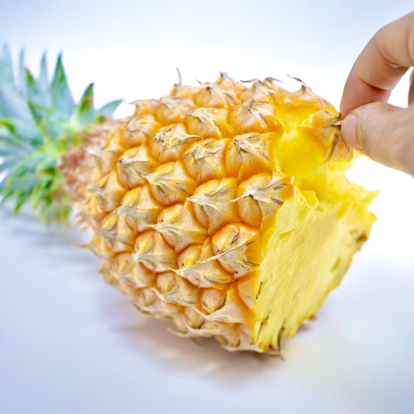 沖縄県(石垣島市)産アグロオーガ八重山フルーツ部会のボゴールパイン計1.5kg(2-3玉入り)【お届け期間:5月9日〜6月30日】【旬鮮便】【NN】　商品画像3