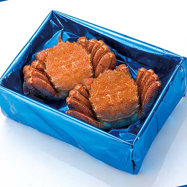 北海道オホーツク海産 ボイル毛がに2尾[1994]【北海道フェア】　商品画像3