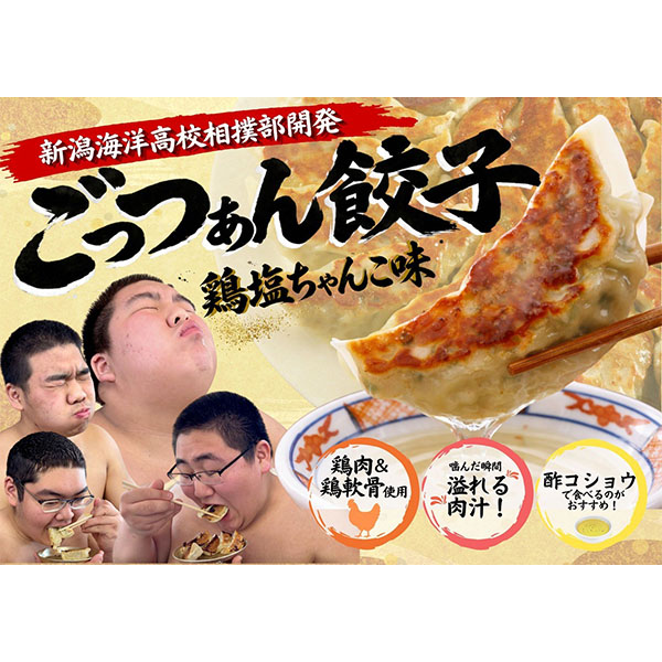 新潟 能水商店 新潟海洋高校相撲部開発 ごっつぁん餃子【夏の贈りもの・お中元】【KN】　商品画像3