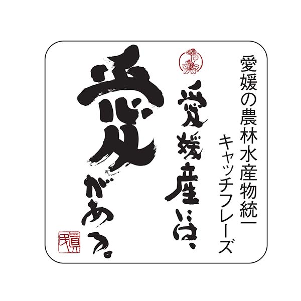 愛媛県八幡浜産 清見 ご自宅用 わけあり 2kg ジュース付き【限定200点】【お届け期間：6月1日〜6月30日】【イオンゴールドカード会員さま限定特別セール5月】　商品画像3
