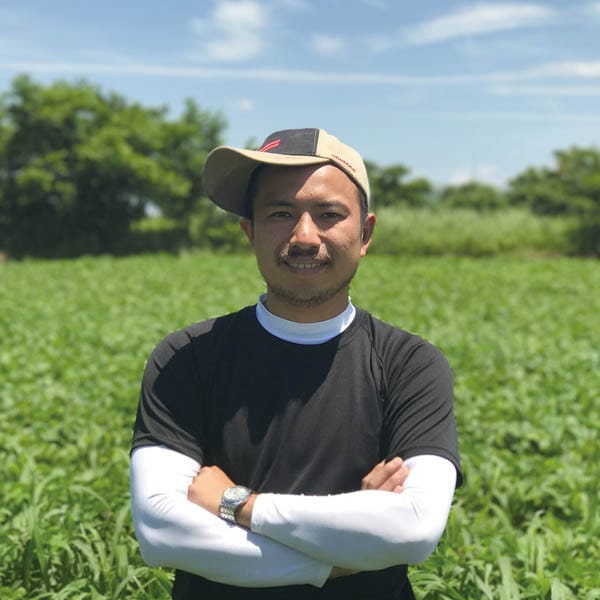 新潟県長岡市 久保農園 茶豆(新潟茶豆) 1kg以上【お届け期間:7月25日〜8月15日】【KN】 商品画像3