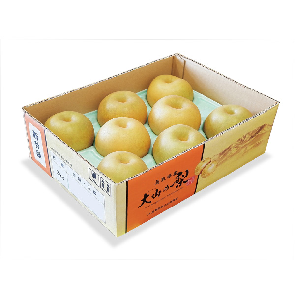 鳥取県産 新甘泉梨 赤秀 3kg【限定200点】【お届け期間:8月20日〜9月25日】【おいしいお取り寄せ】 商品画像3
