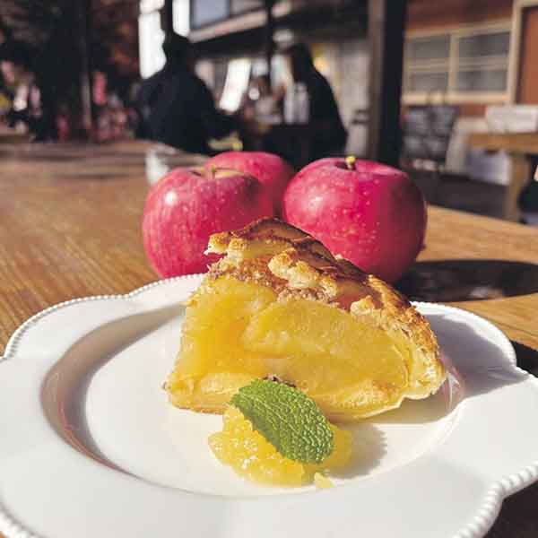 茨城 藤田観光りんご園 りんご園で焼いたぜいたくアップルパイ ホール(1ホール)【お届け期間:7月1日〜9月10日】【KN】　商品画像2