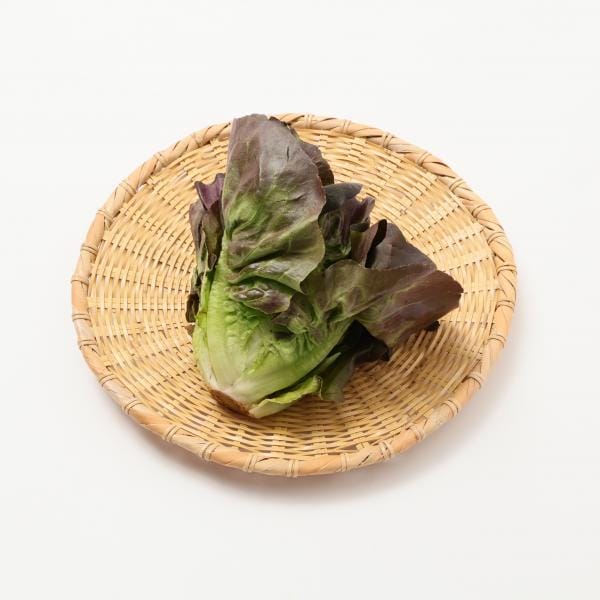 長野県産 長野高原野菜厳選7品目詰め合わせ【超！ナツ夏祭り】【CB】　商品画像3