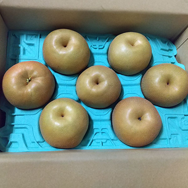 埼玉県産(JA全農さいたま) 彩玉梨 5kg 優品【限定100点】【お届け期間：9月1日〜9月30日】【サマーセール】　商品画像2