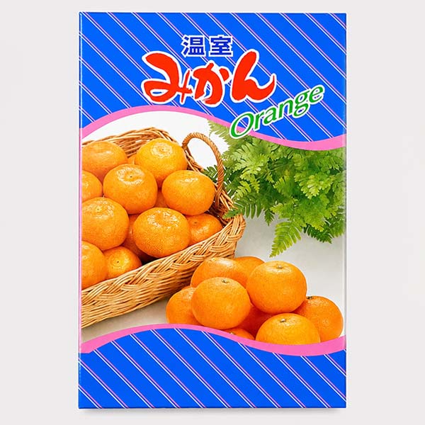 愛媛県産(JAえひめ中央) 温室みかん 1.1kg 青秀品以上 【限定300点】【お届け期間：9月1日〜9月18日】【お買い得セール8月】　商品画像3