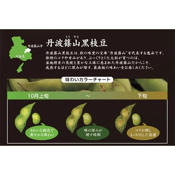 兵庫県産(JA丹波ささやま) 丹波篠山黒枝豆(丹波黒) 枝付き 1箱・2束入り【お届け期間:9月25日〜10月12日】【NN】　商品画像3