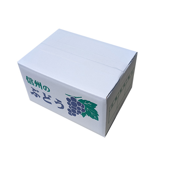 長野県産 ぶどう クイーンニーナ 秀品 2房 計1kg【限定50点】【お届け期間：9月28日〜10月31日】【秋のうまいもの市】　商品画像3